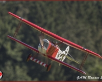 TSR Watermark - 0356
